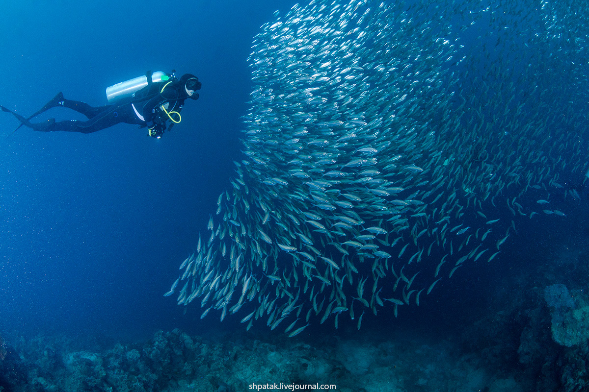 Г/костюм Aqualung "DIVE" 6,0 мм., муж. M, шлем